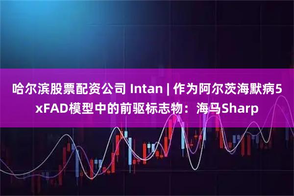 哈尔滨股票配资公司 Intan | 作为阿尔茨海默病5xFAD模型中的前驱标志物：海马Sharp